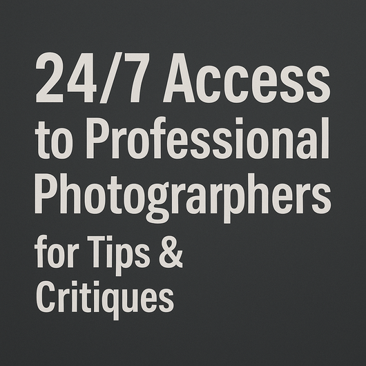 24/7 Access to Professional Photographers for Tips & Critiques